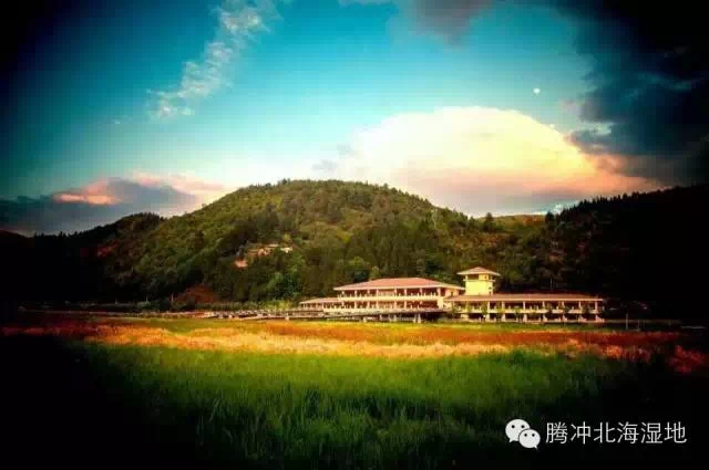 世界那么大，我想去看看——北海湿地洗肺之旅