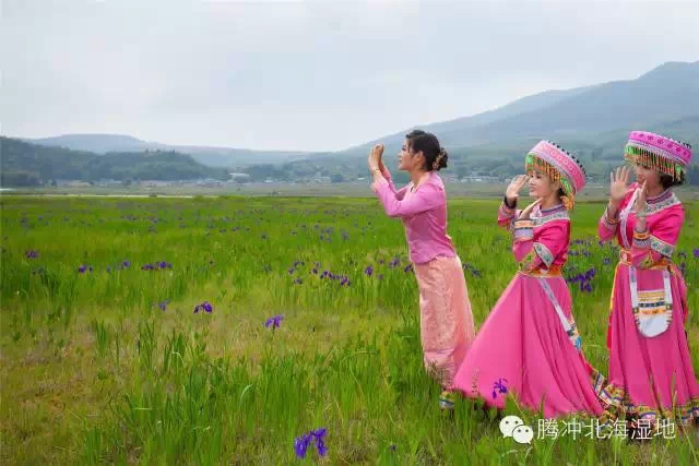 腾冲北海湿地“鸢尾花朝节”