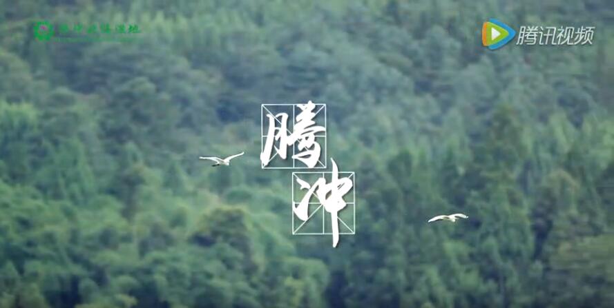 腾冲北海湿地【我们来了】特摄宣传片